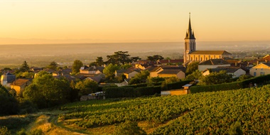 The Unexpected Complexities of Winemaking in Beaujolais