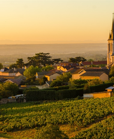 The Unexpected Complexities of Winemaking in Beaujolais
