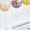 Advice for WSET Students