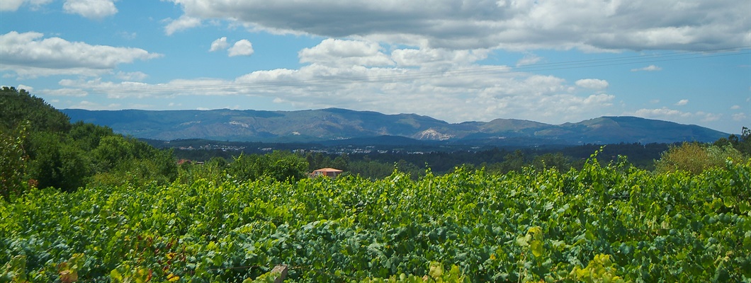 Rías Baixas