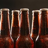Cerveza (en español)