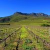 South Africa/Sudáfrica
