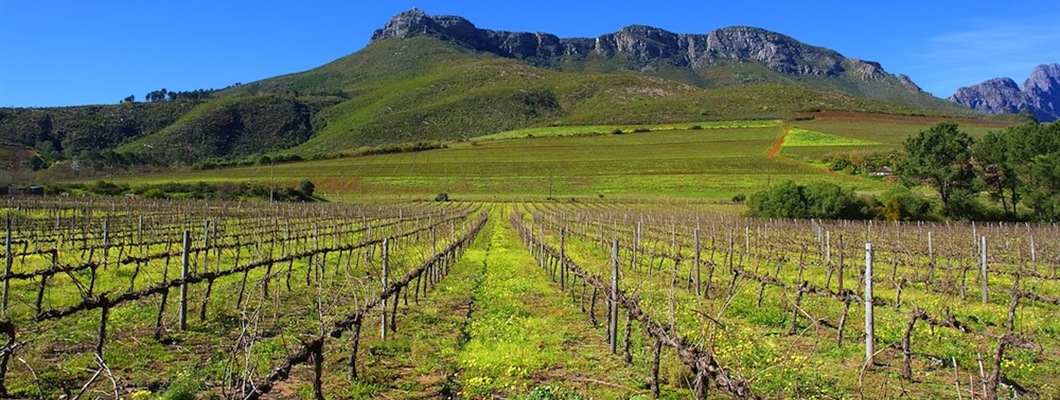 South Africa/Sudáfrica