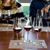 Tasting/La Cata