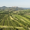 Austria Course