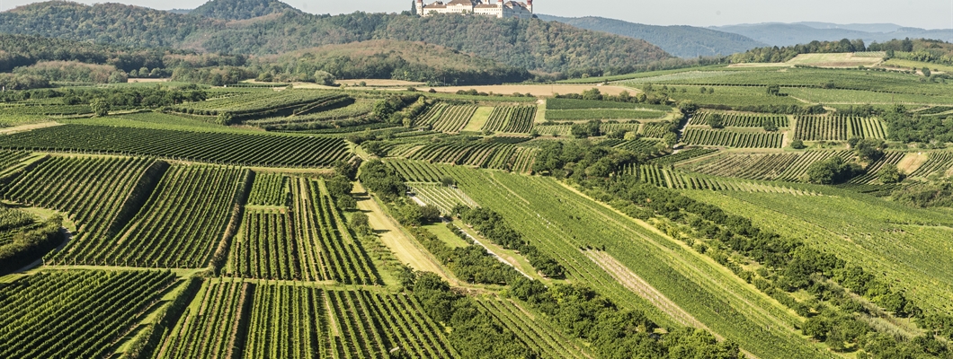 Austria Course