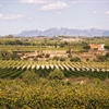 Cava E-Learning