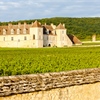 Introduction to Burgundy