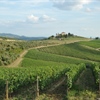 Chianti Classico