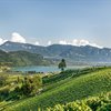 Alto Adige
