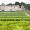 White Bordeaux