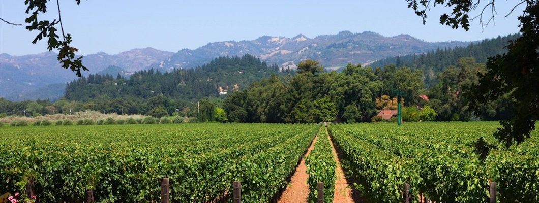 The Rise of Napa Cabernet