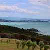 New Zealand Expert Guide