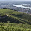 Rhône Valley