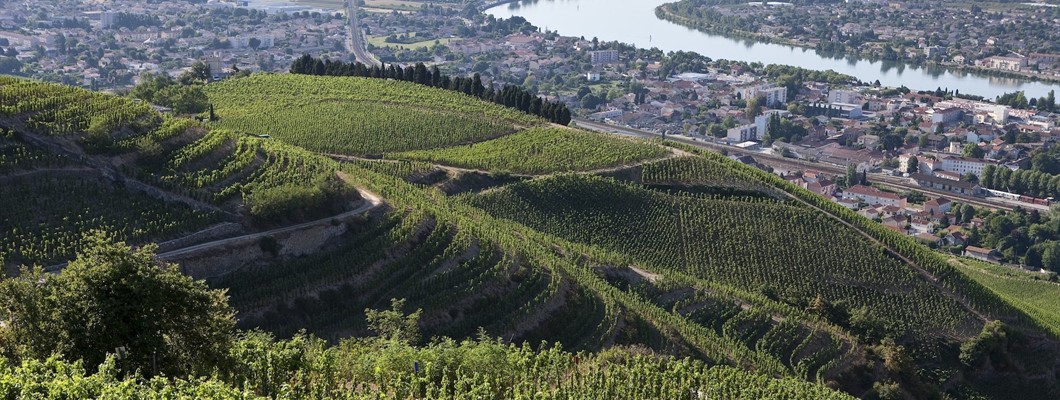 Rhône Valley