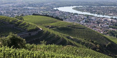 Rhône Valley