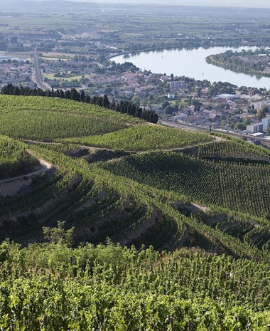 Rhône Valley