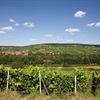 Introduction to Champagne