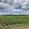 Loire Valley