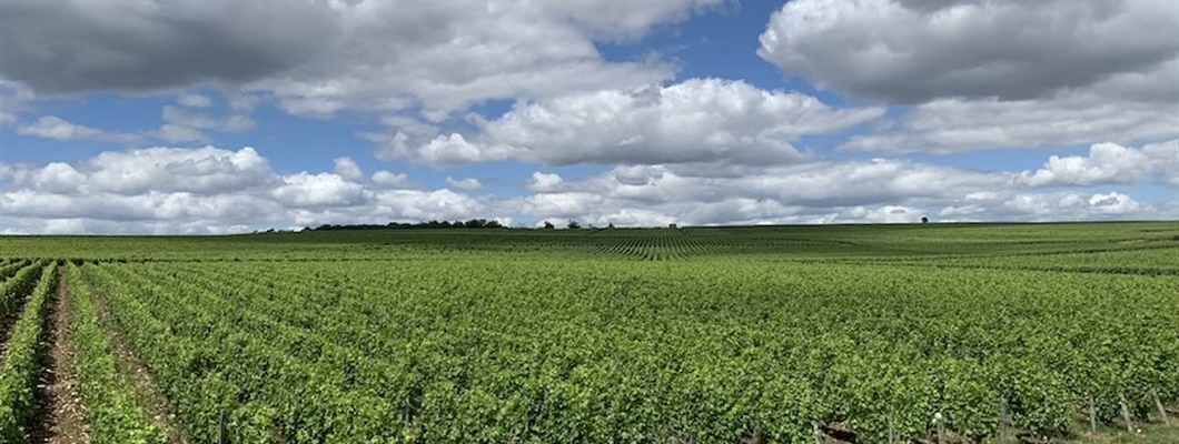Loire Valley
