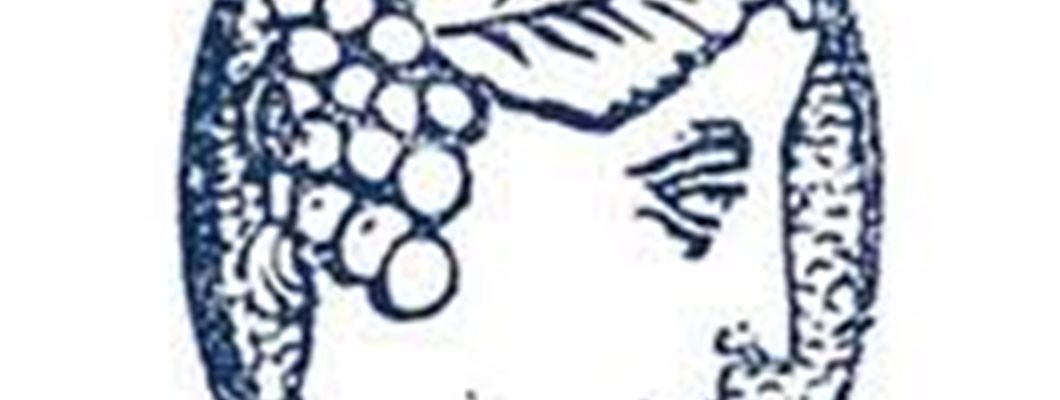 GuildSomm&#39;s Next Steps