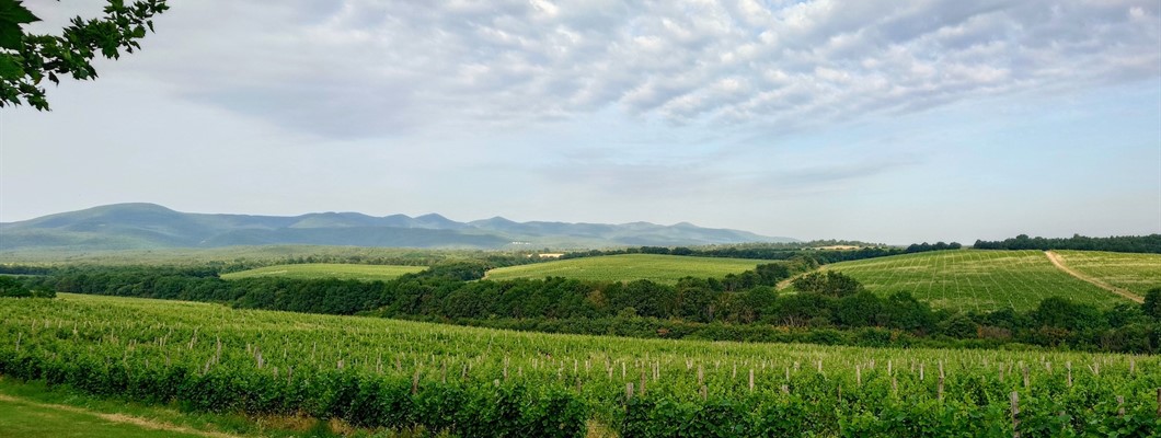 Bulgaria Revisited