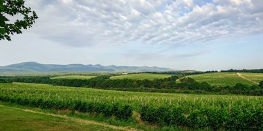 Bulgaria Revisited
