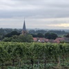 Understanding the Modern German Wine Landscape