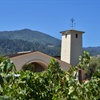 A History of Winery Consolidation in America