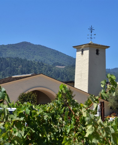 A History of Winery Consolidation in America