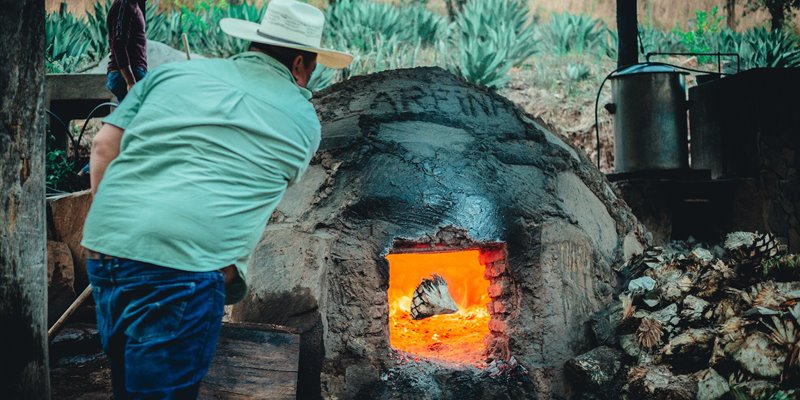 What You Need to Know about Tequila, Mezcal, Sotol, and Raicilla