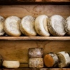 Exploring the Food and Wine of Northern Italy