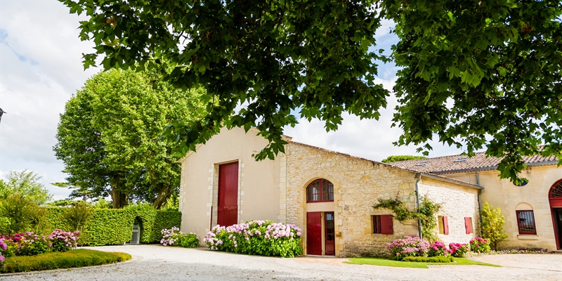 From Bordeaux to the Stars: The Enological Revolution