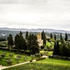 Chianti Classico: Past, Present, and Future