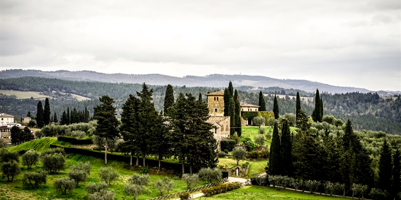 Chianti Classico: Past, Present, and Future