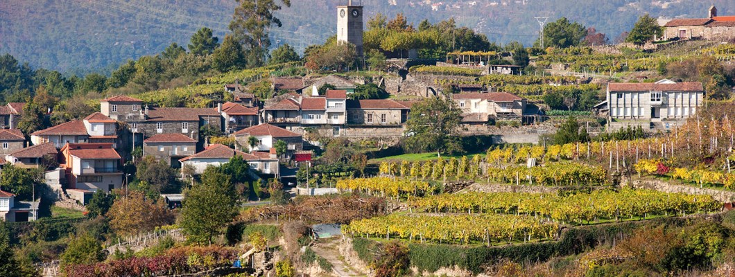 Faced with an Uncertain Future, Ribeiro Is at a Crossroads