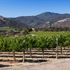 Exploring Monterey County