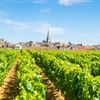 Burgundy: Past, Present, and Future