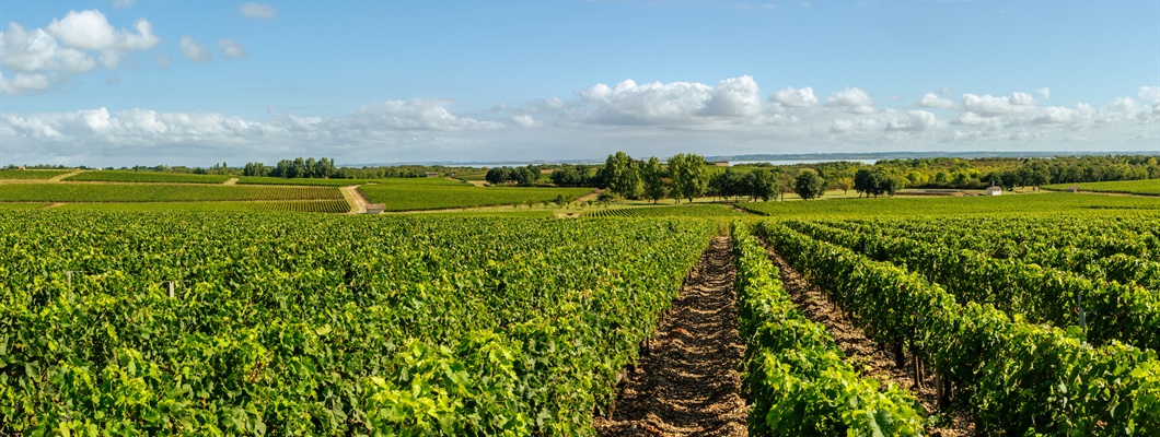 Vintage Decade: Médoc 1980s