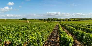 Vintage Decade: Médoc 1980s