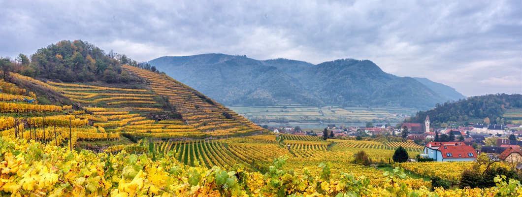 Vintage Decade: Wachau 2000s