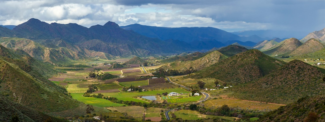 Latest Updates: Cava, Médoc, and South Africa