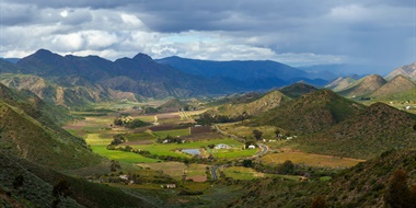 Latest Updates: Cava, Médoc, and South Africa