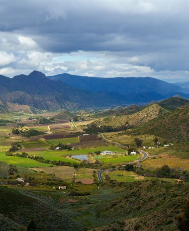 Latest Updates: Cava, Médoc, and South Africa