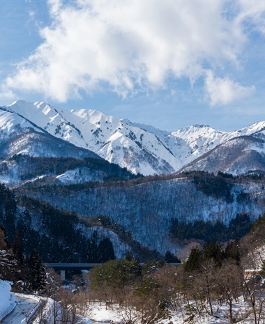 Sake Prefectures, Rice, and Water