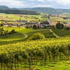 Latest Updates: German-Speaking Switzerland and New AVAs