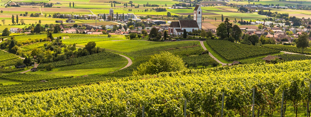 Latest Updates: German-Speaking Switzerland and New AVAs