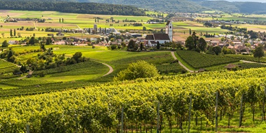 Latest Updates: German-Speaking Switzerland and New AVAs
