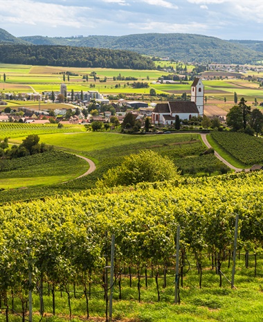 Latest Updates: German-Speaking Switzerland and New AVAs