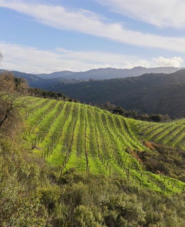 Santa Cruz County and New Planting Data